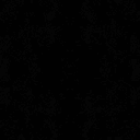 All Black. Literally